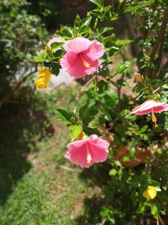 Casa Com Spa De Hidro, Aquecedor E Cromoterapia A 1,0 Km Do Centro Chapada dos Guimarães Buitenkant foto